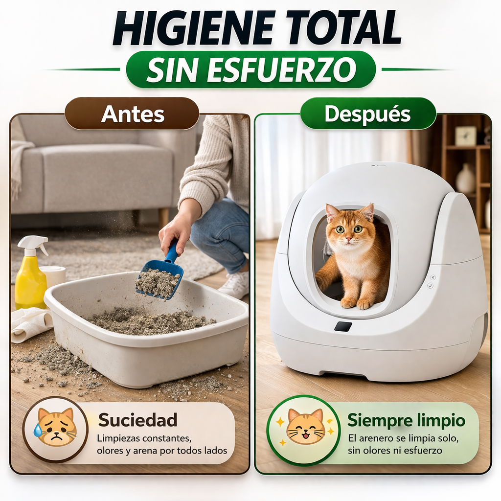El olor del arenero invade toda tu casa