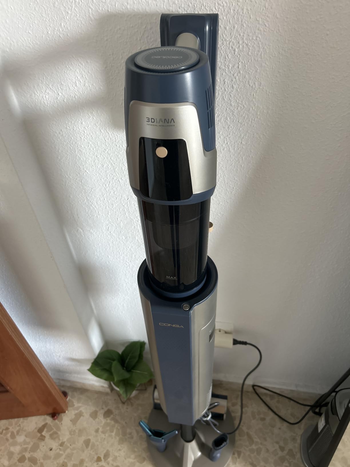 Review by Mari Ángeles Mena Navarro